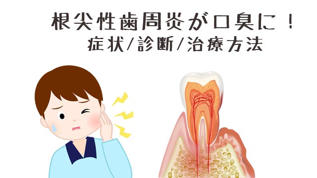 根尖性歯周炎が口臭の発生原因に！症状/診断/治療方法
