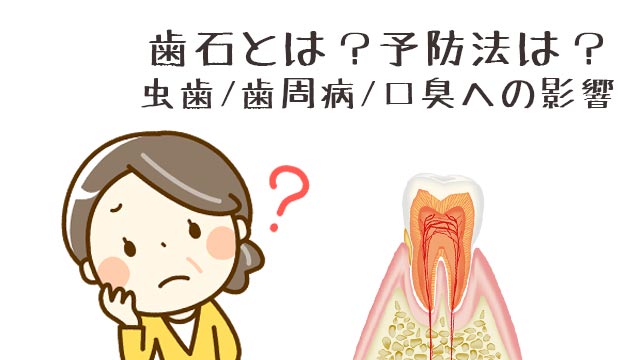 歯石とは？虫歯/歯周病/口臭への影響と予防ポイント5つ