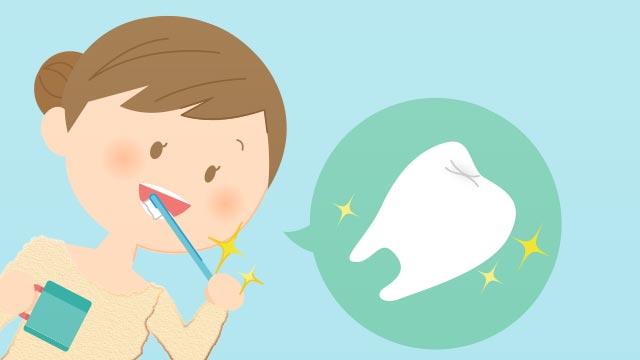 【歯の磨き方】大人が再確認すべき歯磨き方法のポイント
